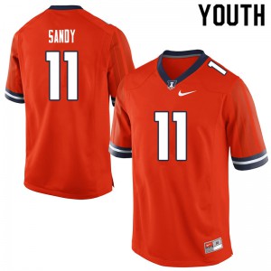 Youth Fighting Illini #11 Carlos Sandy Orange Official Jersey 357181-413